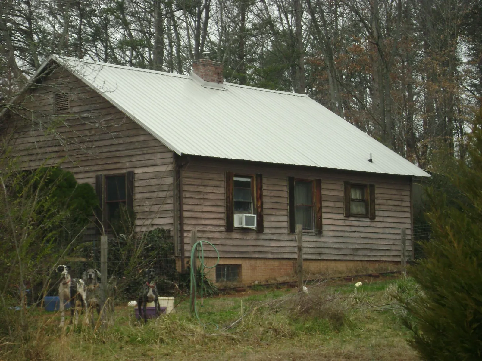 White metal roof on an old wood sided farmhouse, from a Asphalt Shingle Roof Repair job in Winburne